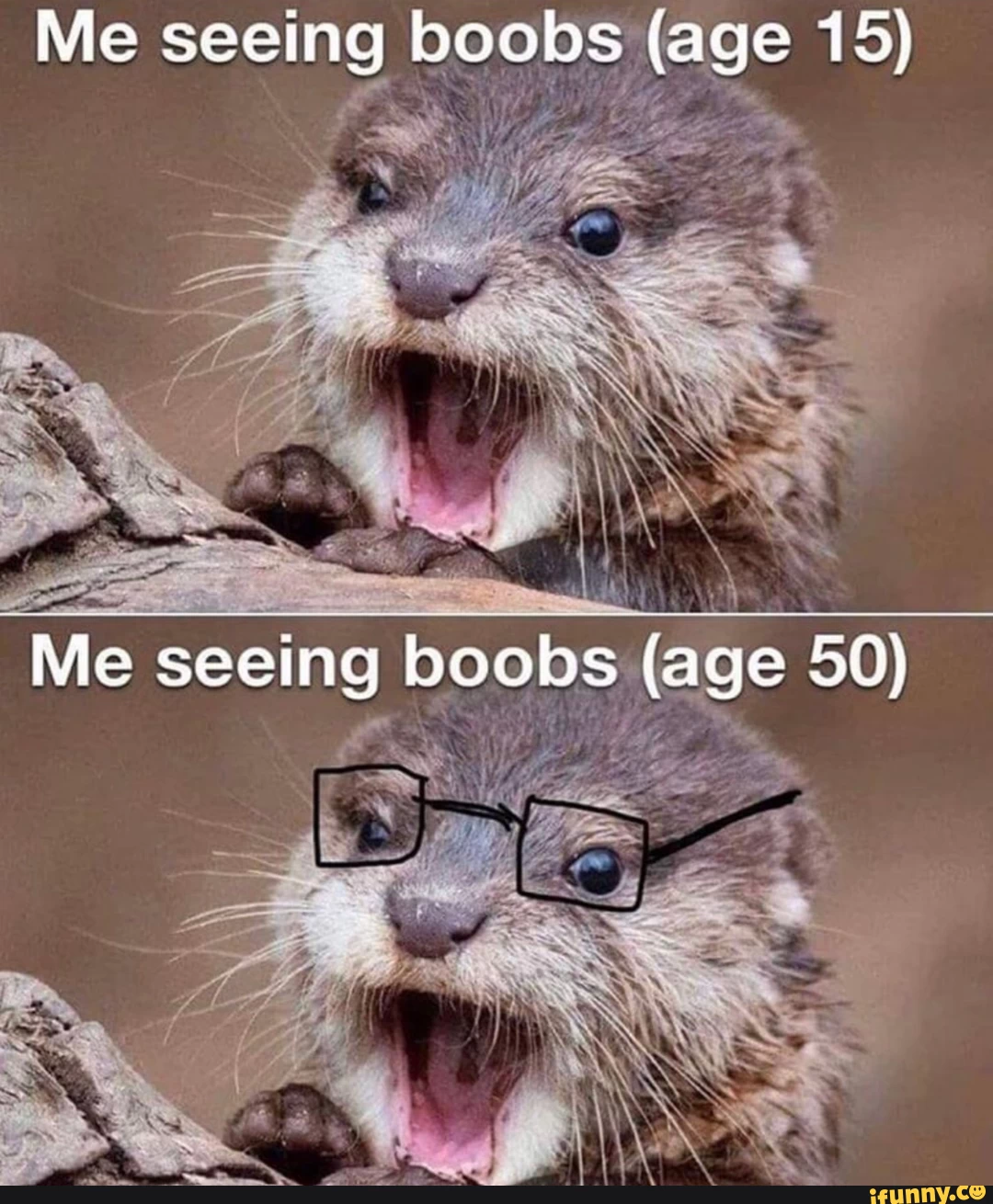 Me seeing boobs (age 15) Me seeing boobs (age 50)