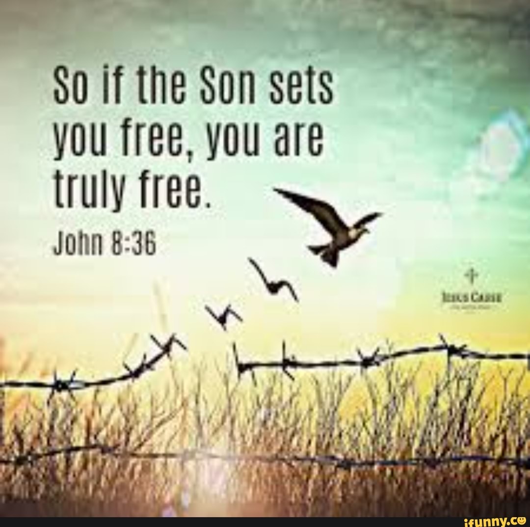 soifthesonsets-you-free-you-are-truly-free-john