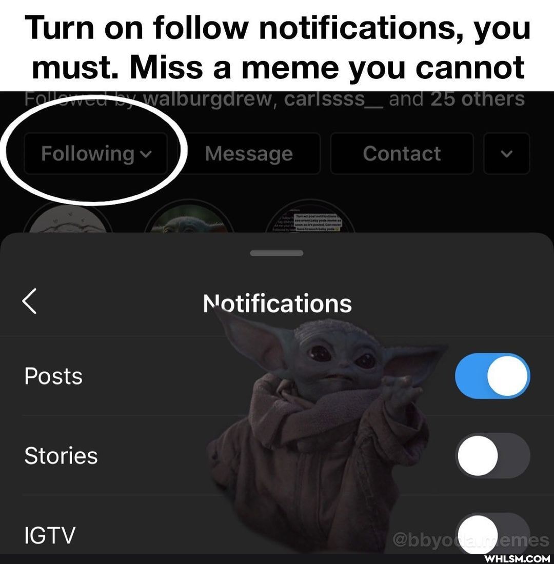 Turn on follow notifications, you
must. Miss a meme you cannot
Message Contact
and 25 others
Notifications
Posts
Stories
IGTV