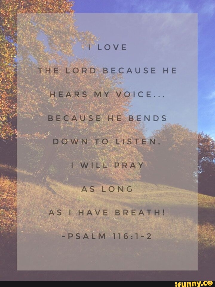 I Love The Lord Because He Hears My Voice Because He Bends Down To