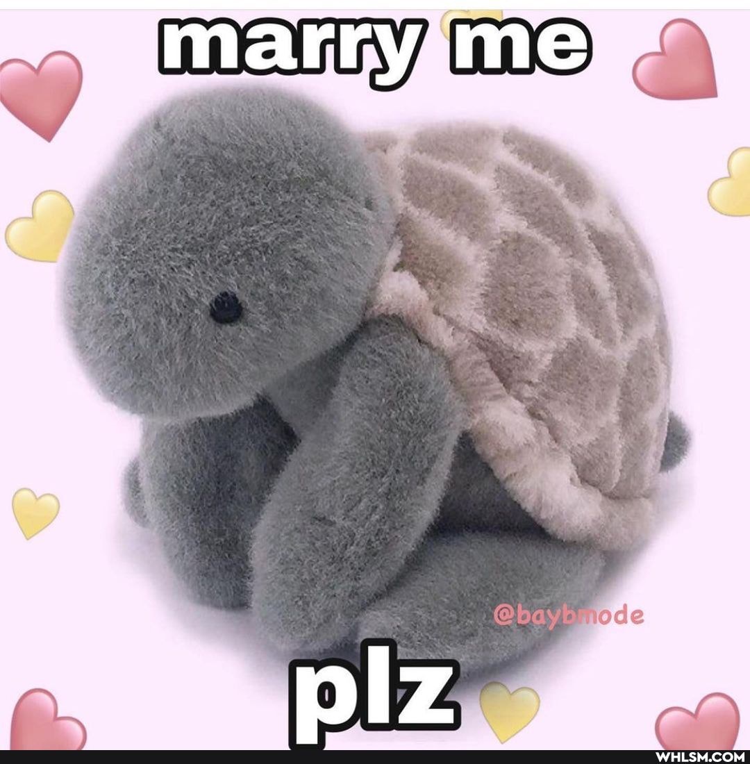 ma me ma me
Marry