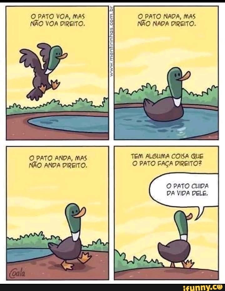 O PATO VOA, MAS NÃO VOA DIREITO.
O PATO ANDA, MAS NÃO ANDA DIREITO.
O PATO NADA, MAS NÃO NADA DIREITO.
TEM ALGUMA COISA QUE O PATO FAÇA DIREITO?
O PATO CUIDA DA VIDA DELE,