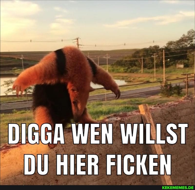 DIGGA WEN WILLST
DU HIER FICKEN