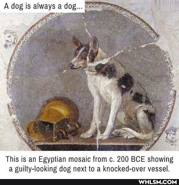 A dog is always a do
This is an Egyptian mosaic from c. 200 BCE showing guilty-looking dog next to a knocked-over vessel.