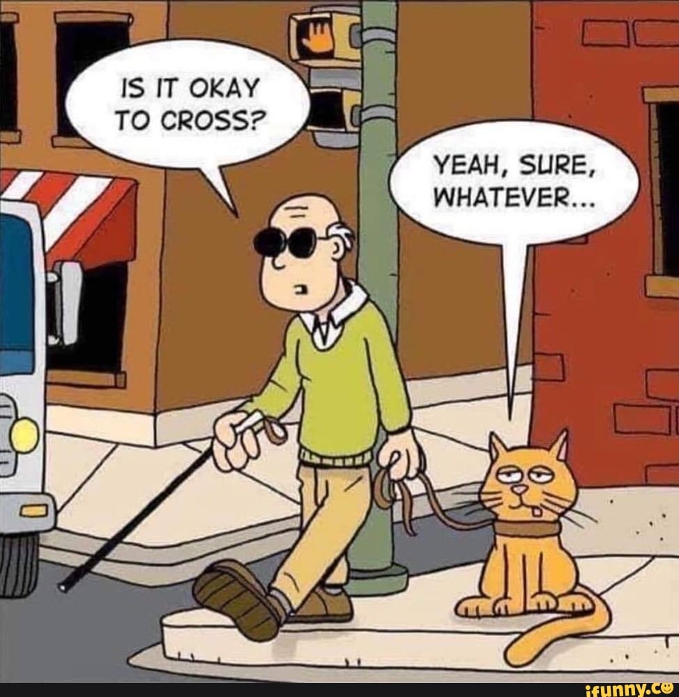 Sure whatever. "Yeah sure whatever". Funny Cat cartoon. Cartoon Cat meme. Cartoon the Cat is Cleaning.