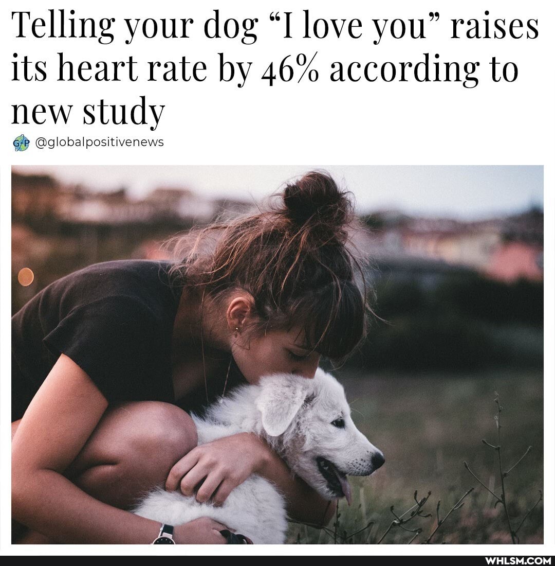 Telling your dog "I love you" raises its heart rate by 46% according to
new study
@globalpositivenews