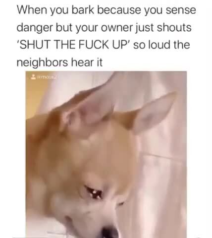 how to tell a dog to shut up