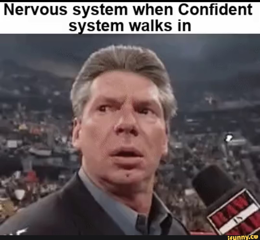 Nervous System When Confident System Walks In Nervous system when Confident system walks in (c$ ai - iFunny