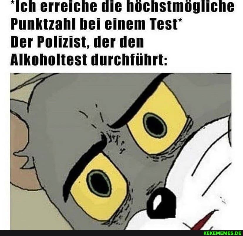 Ich erreiche die hochstmogliche
Punktzahl bei einem Test"
Der Polizist, der den
Alkoholtest durchführt: