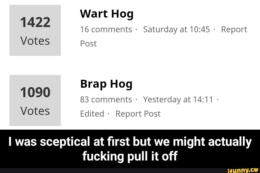 Hog
1422
16 comments ~
Saturday at 10:45 -
Report
Votes post
1090
Brap Hog
83 comments .
Yesterday at 14:11 -
Votes Edited -
Report Post
I was sceptical at first but we might actually
fucking pull it off - I was sceptical at first but we might actually fucking pull it off