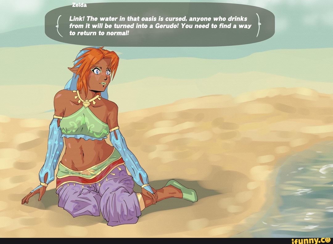 Zelda Link! The water in that oasis is cursed, anyone who drinks from it  will be turned into a Gerudo! You need to find a way to return to normal! -  iFunny