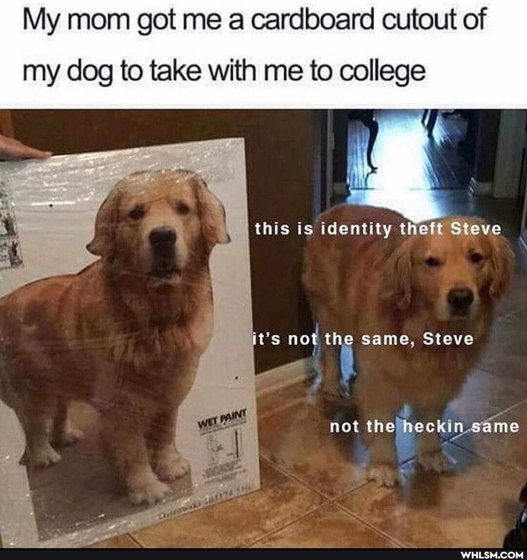My mom got me a cardboard cutout of
my dog to take with me to college
this is identity theft Steve
ms not the same. Steve
4 &s not the eckin same