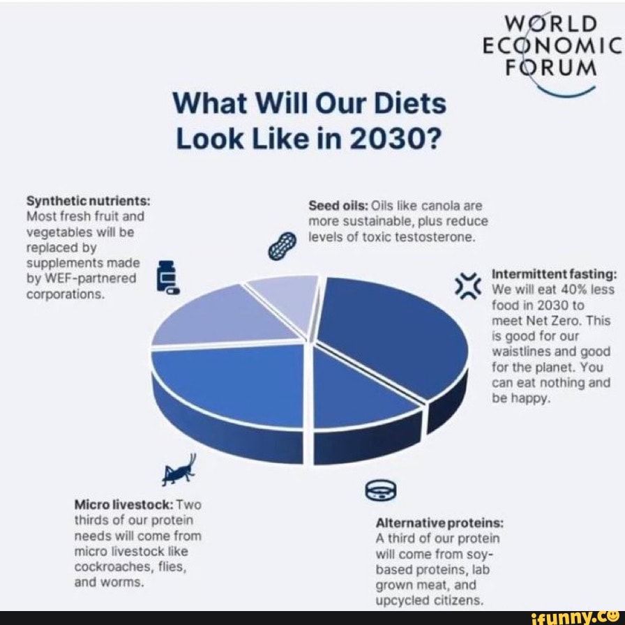 WORLD ECONOMIC FORUM What Will Our Diets Look Like in 2030? Synthetic