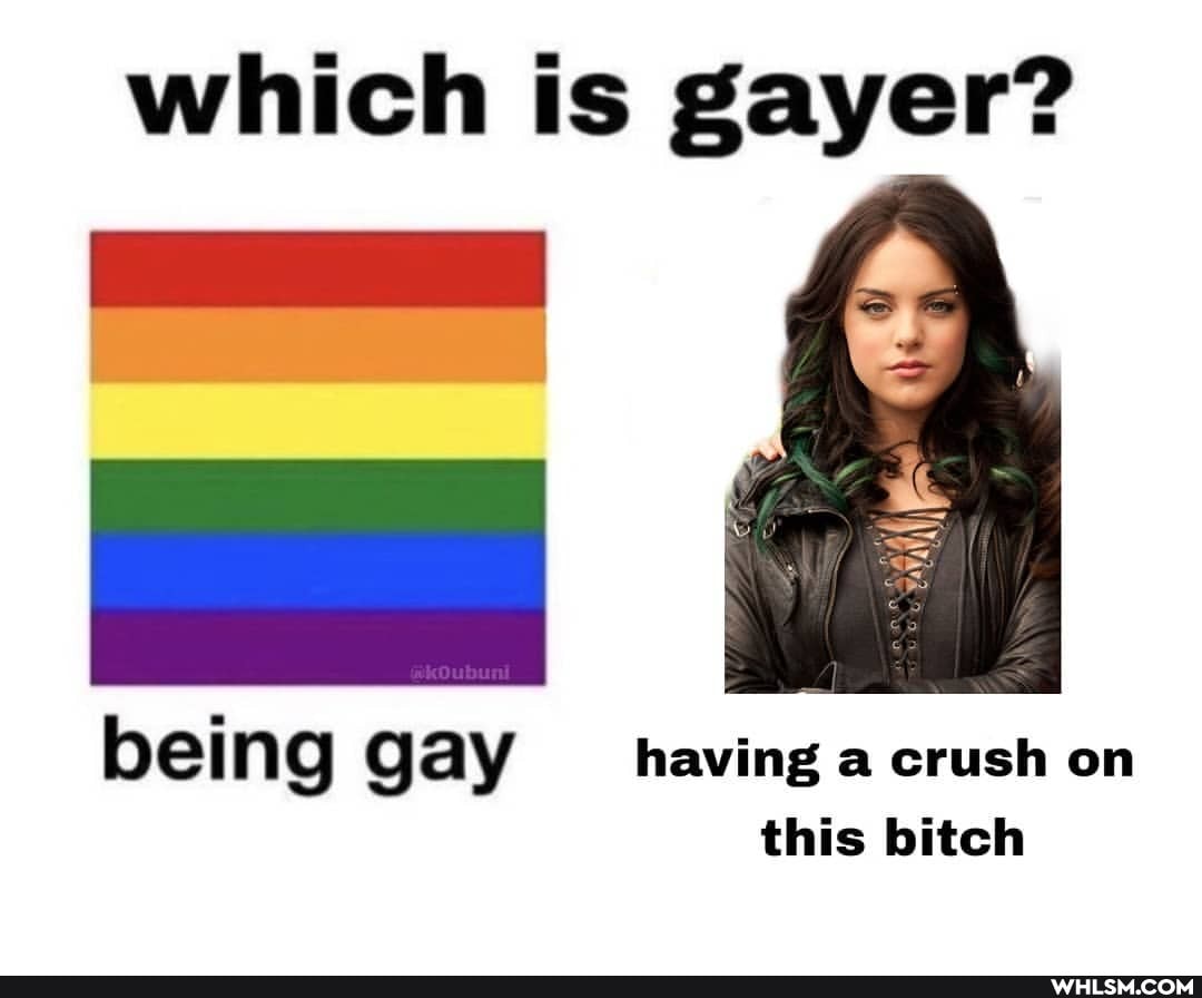 which is gayer?
being gay having a crush on this bitch