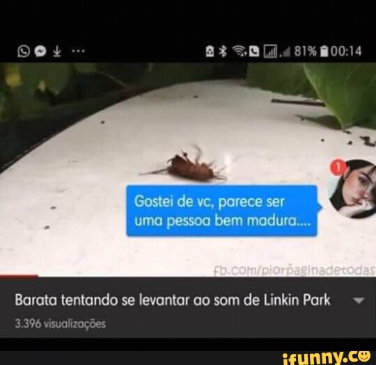 Barata tentando se levantar ao som de Linkin Park. =
visualizações