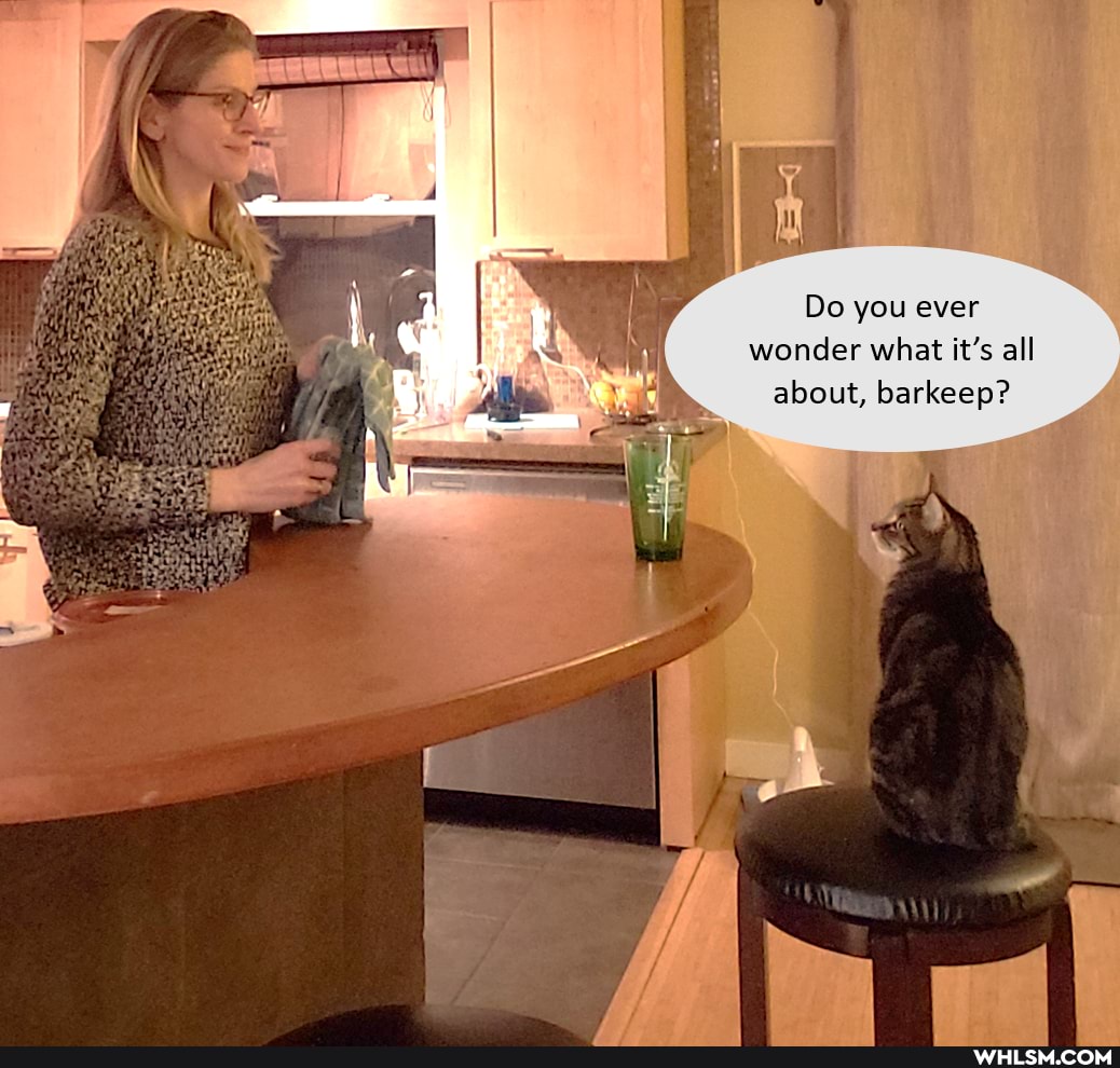 Do you ever wonder what it's all about, barkeep?
