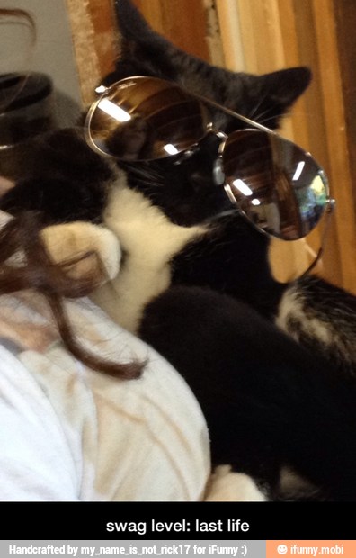 swag level: last life - swag level: last life