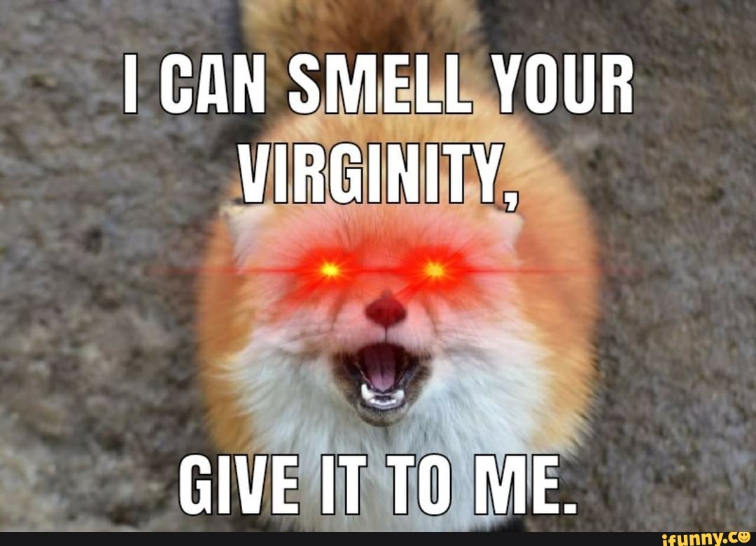 Your virginity. Прикол l can smell bullshit. Virginity Akimbo кроссовки. I can smell everything..