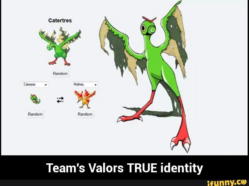 catenres Team's Valors TRUE identity - Team's Valors TRUE identit...