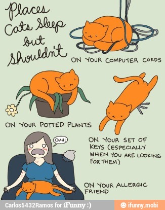 ON aod
Keys (ESPECIALLY
HEN YOU ARE LOOKING
Fog miem)
AS