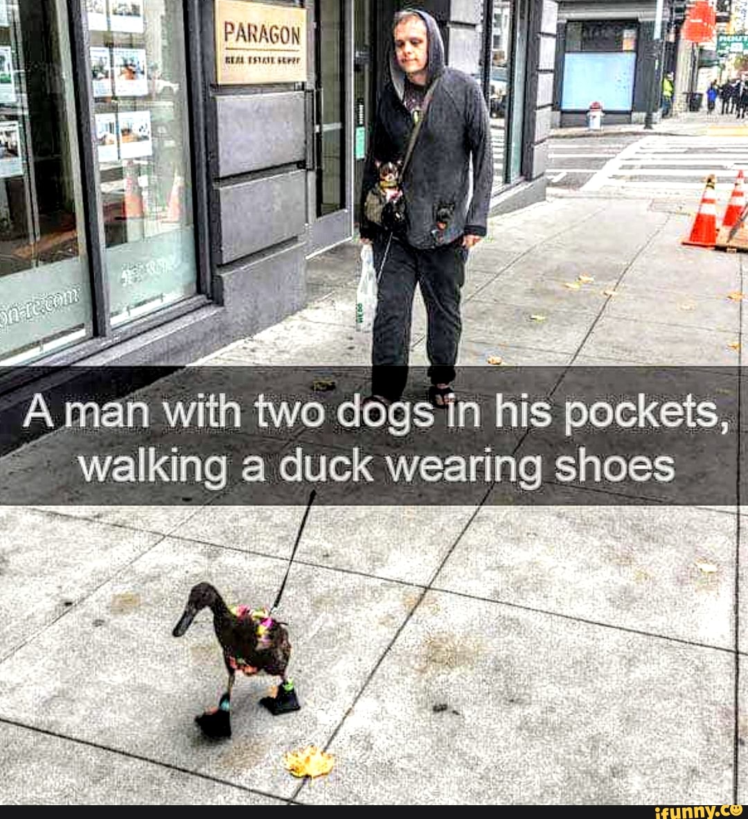 duck wearing shoes
