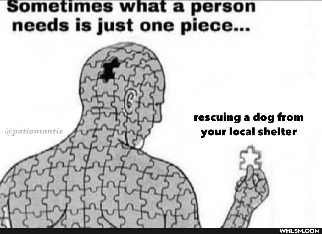 Sometimes what person needs is just one piece...
rescuing a dog from your local shelter
