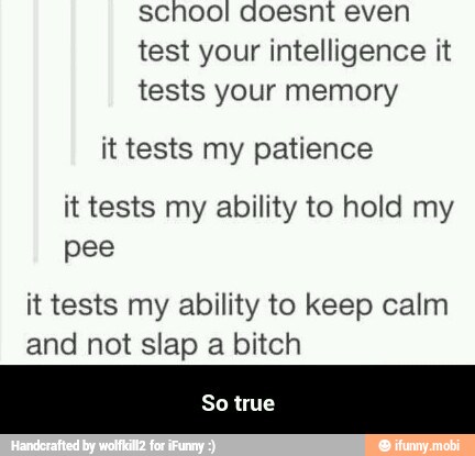 school doesnt even
test your intelligence it
tests your memory
it tests my patience
it tests my ability to hold my
pee
it tests my ability to keep calm
and not slap a bitch - So true