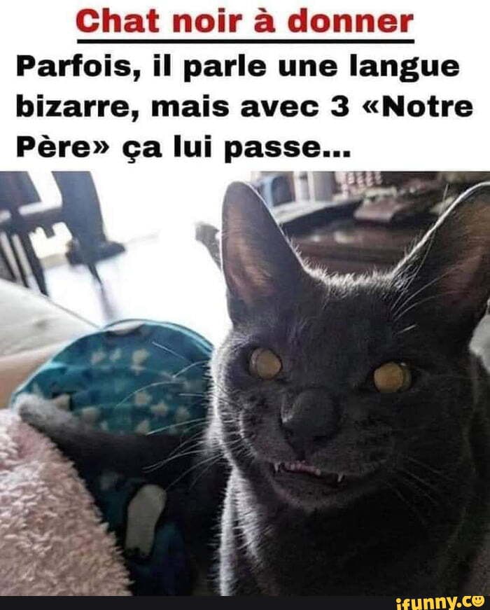 Chat Noir A Donner Bizarre Mais Avec 3 Notre Pere Ca Lui Passe