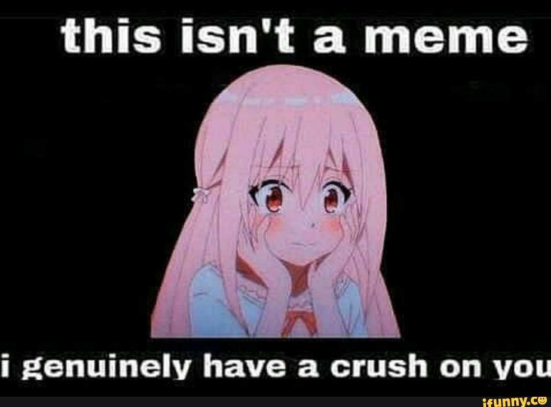 This Isn T A Meme Genuinely Have A Crush On You