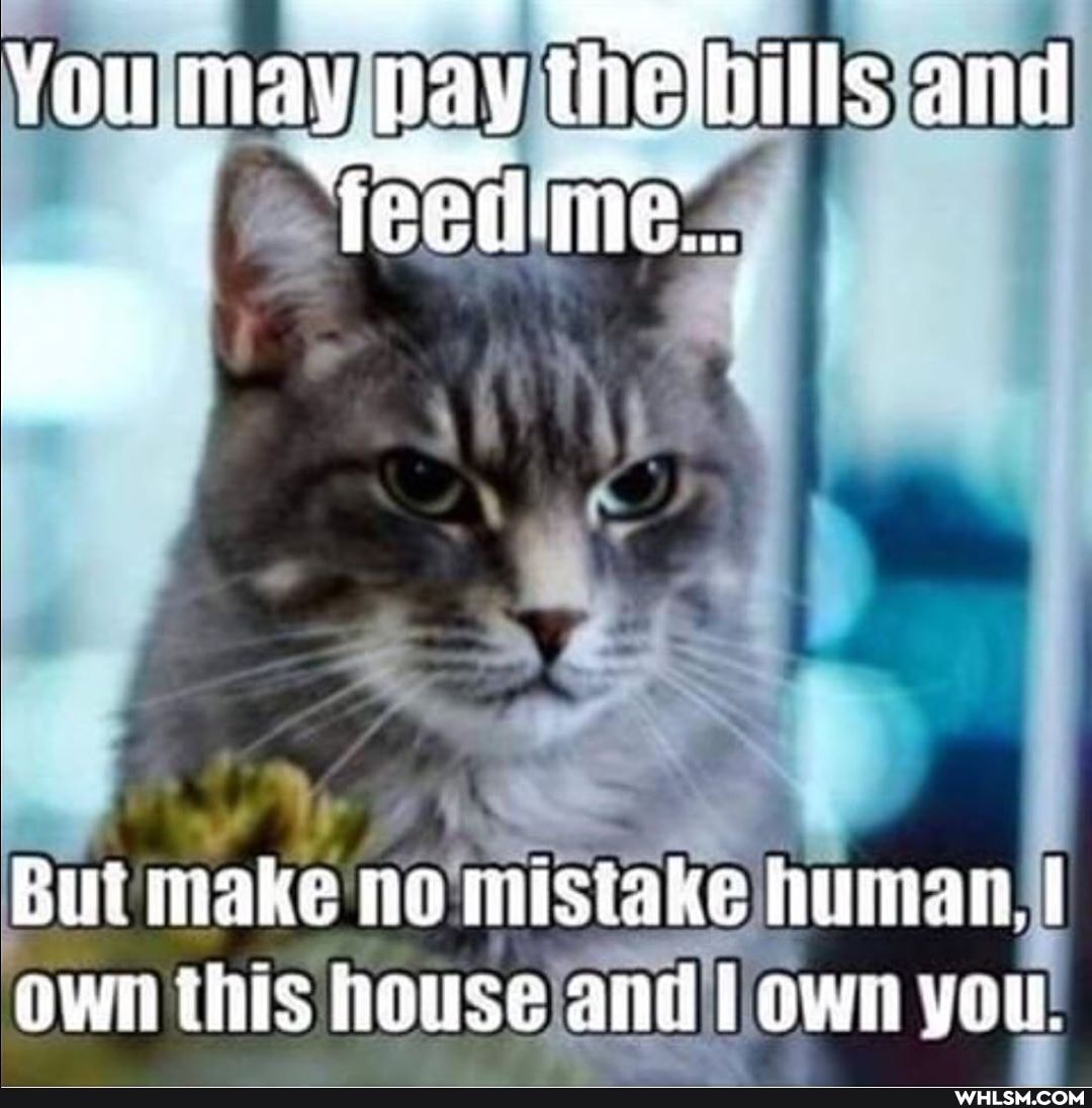 You may pay thelhills and
But make no misiake human, own this house anid I own you.