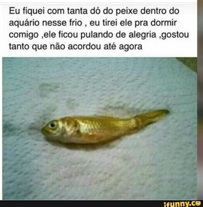 Eu fiquei com tanta dó do peixe dentro do
aquário nesse frio
eu tirei ele pra dormir
comigo ,ele ficou pulando de alegria gostou
tanto que não acordou até agora