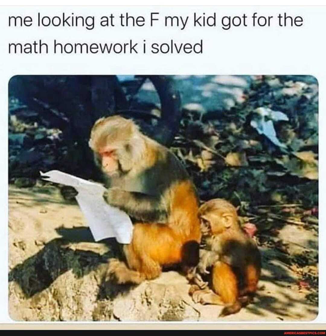 me looking at the F my kid got for the math homework solved