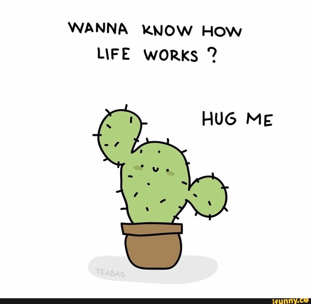 Электронный кактус. Песня кактус. Игрушка танцующий кактус. Игрушка кактус повторюшка танцующий. Кактус подкаст.