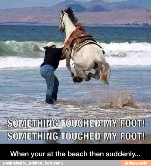 When your at the beach then suddenly... - When your at the beach then suddenly...