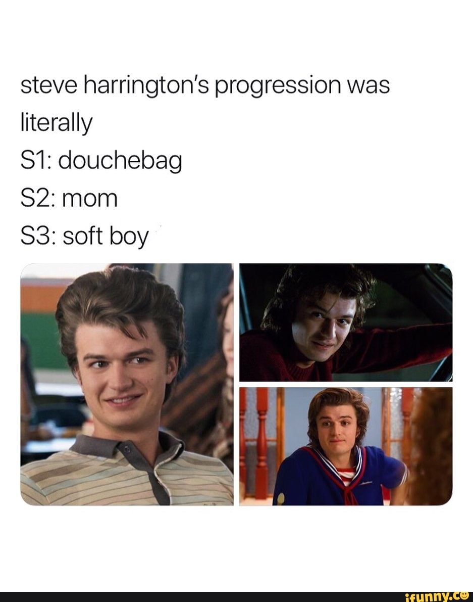 Steve harrington’s progression was literally S1: douchebag 82: mom 83 ...