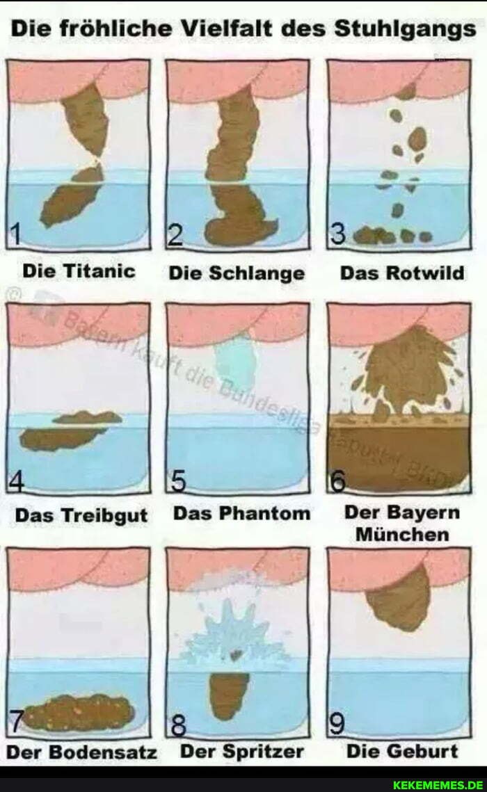 Die fröhliche Vielfalt des Stuhlgangs
IT
Die Titanic Die Schlange Das Rotwild
Das Treibgut Das Phantom Der Bayern
München
Der Bodensatz Der Spritzer Die Geburt