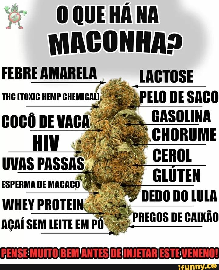 MACONHA?
FEBRE AMARELA LACTOSE THG (TOXIC HEMP CHEMICAL) ELO DE SAGO
vIas PASSHS,
pena
WHEY PROTEIN: DEDO DO LULA AÇAÍ SEM LEITE EM PÔ REGOS DE CAIXÃO