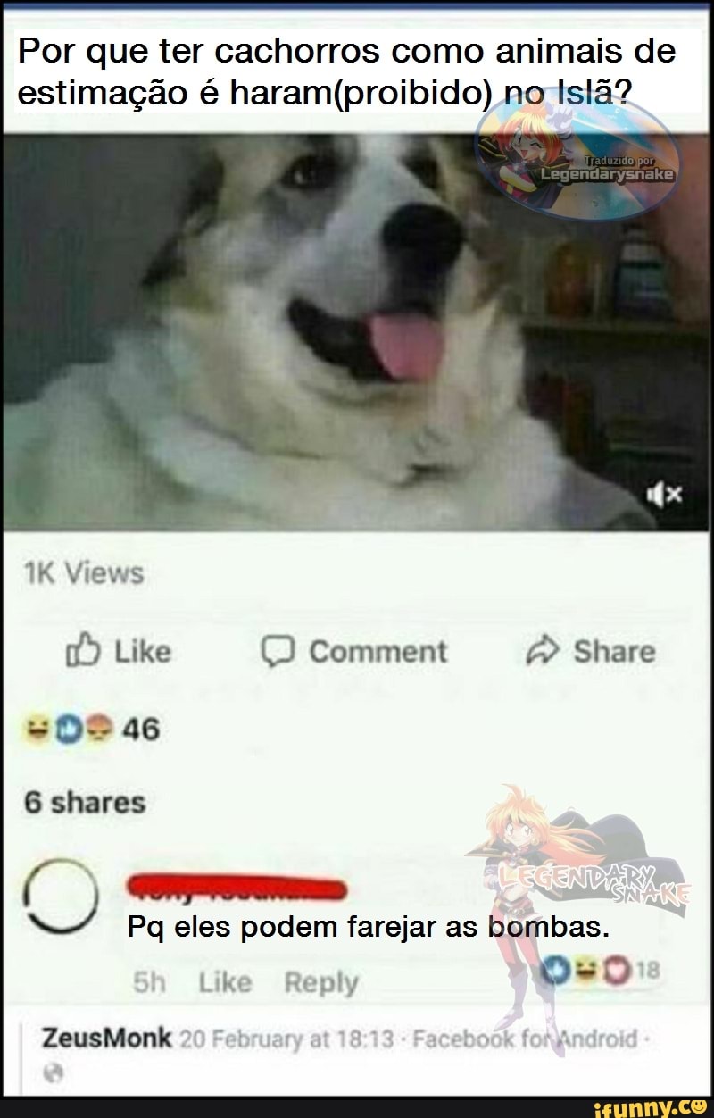 Por que ter cachorros como animais de
estimação é haram(proibido) no Islã?
Pq eles podem farejar as bombas.
Like Reply
