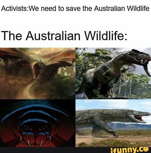 Need to save the Australian Wildlife The Australian Wildlife iFunny