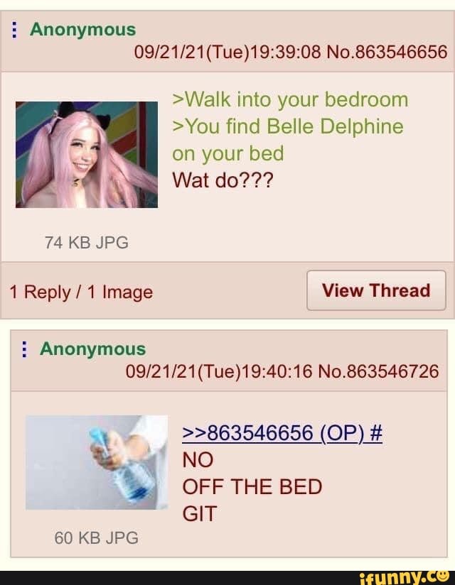 Belle delphine bed