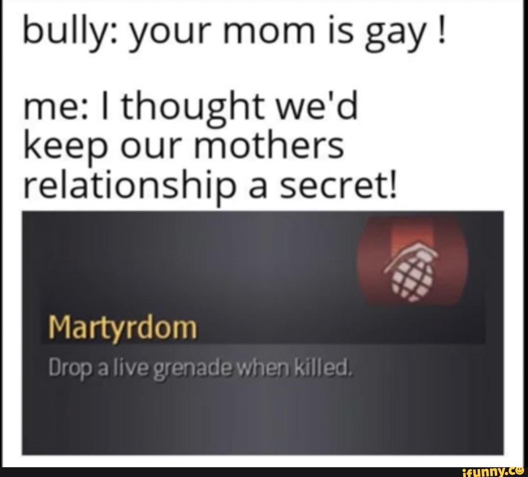 Bully Your Mom Is Gay Me I Thought Wed Keep Our Mothe