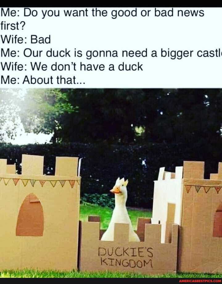 Me: Do you want the good or bad news first?
Wife: Bad
Me: Our duck is gonna need a bigger cast
Wife: We don't have a duck
Me: About that...
ES
\ST NGDOMi