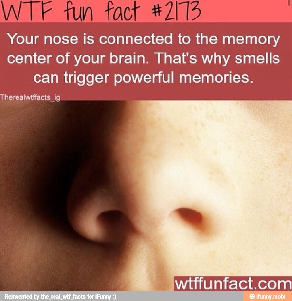 Your nose is connected to TE memory center of your brain. That's why