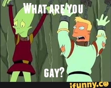 WHAT ARE YOU
GAY?