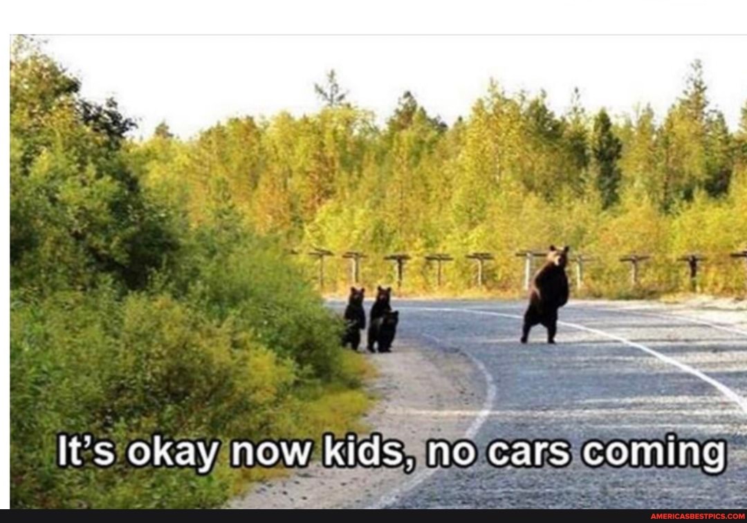 It's okay now kids. no cars coming