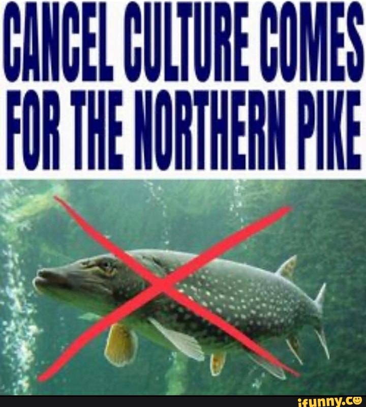 GAGEL GULTURE COME FORTE NORTHERN PE