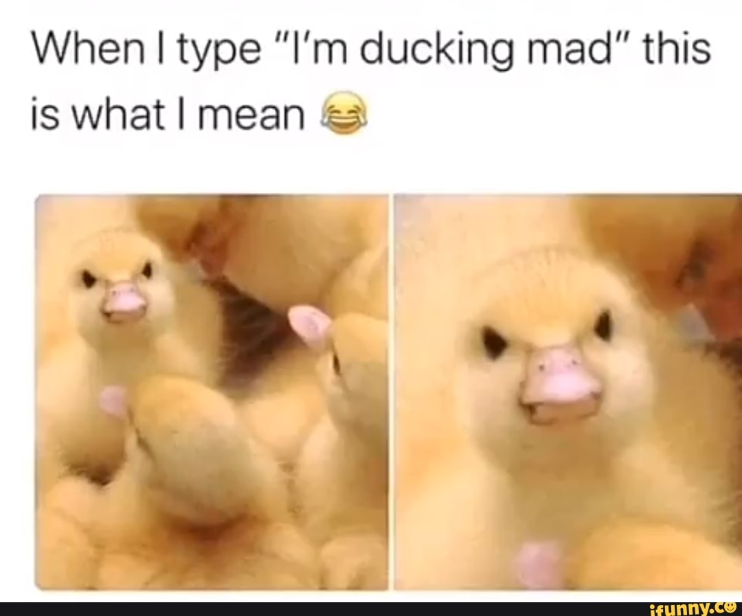 When I type "I'm ducking mad" this is what I mean @