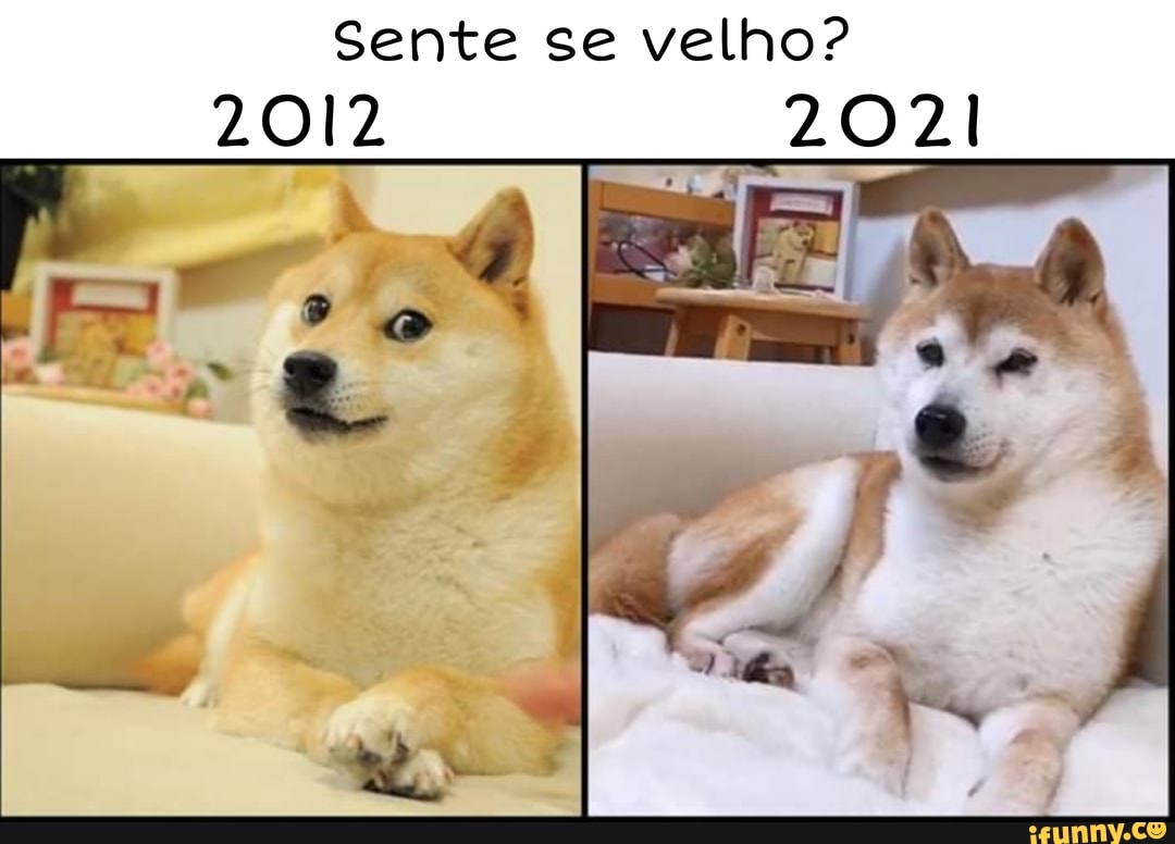 Sente se velho?
2012