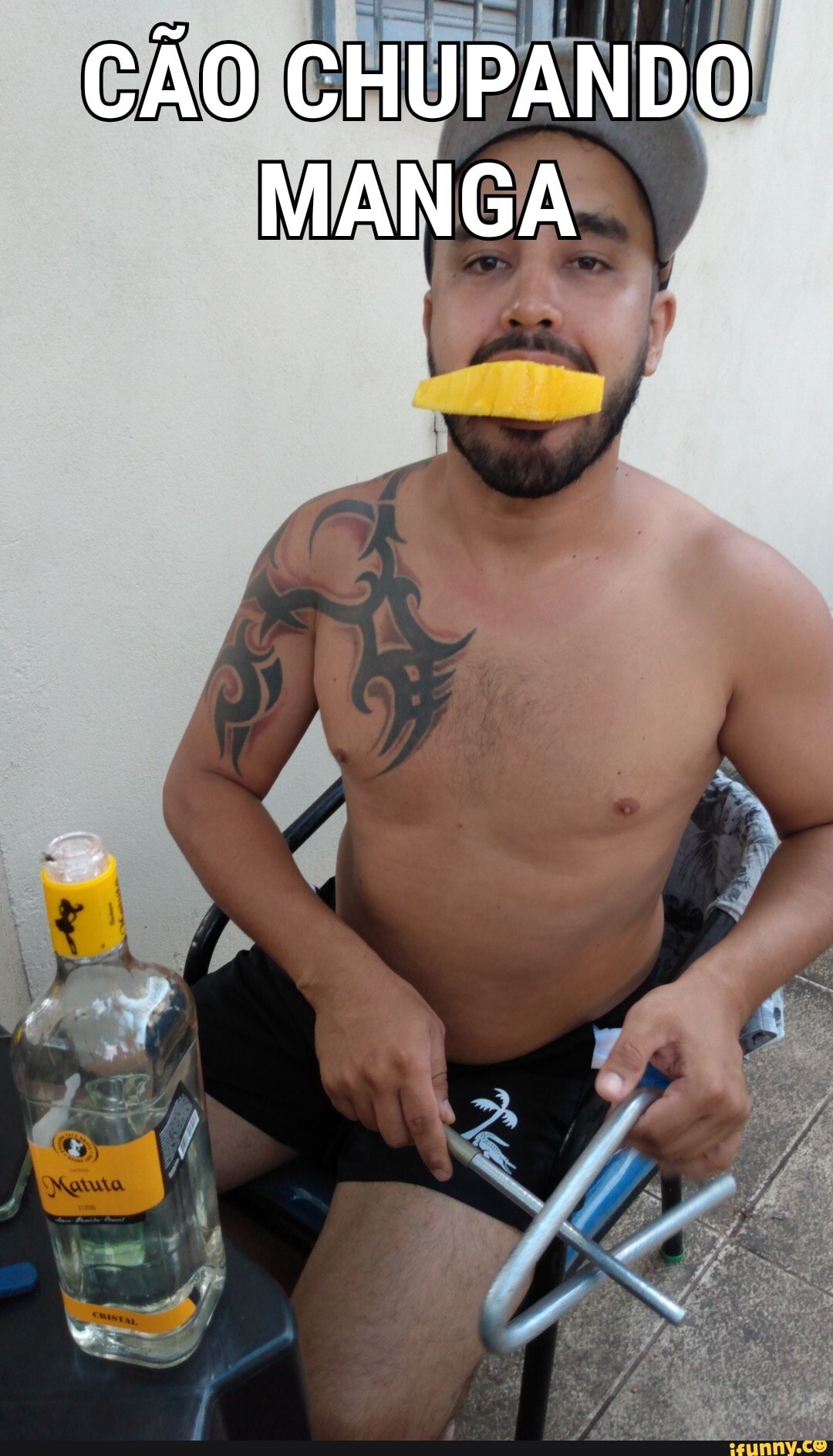 CÃO CHUPANDO MANGA