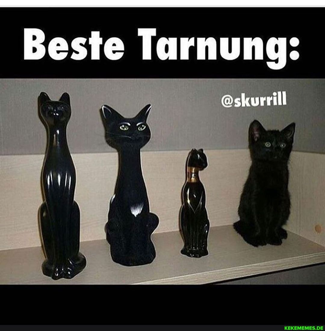 Beste Tarnung:
